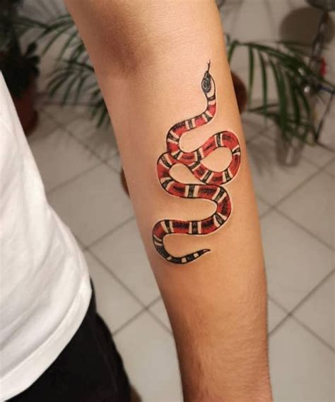 gucci snake tattoo wrapped around arm|gucci snake tattoo inspo.